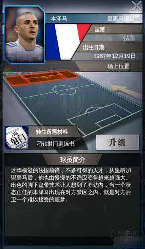 绝杀2014本泽马介绍 本泽马属性详解