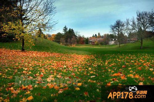 《心动小狗》让家长放心的狗狗养成游戏