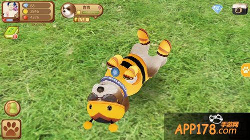 《心动小狗》让家长放心的狗狗养成游戏