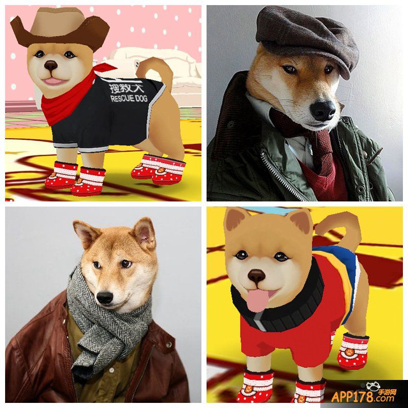 有爱心的真实玩家 《心动小狗伙伴》好玩的噱头