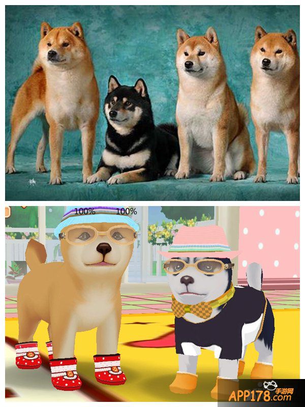 有爱心的真实玩家 《心动小狗伙伴》好玩的噱头