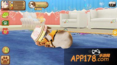 疗愈系窝心手游《心动小狗》