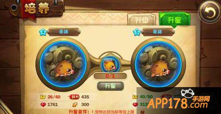 恶魔不要啊萌宠强化攻略 萌宠怎么强化