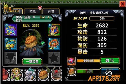 神龙骑士团英雄组合