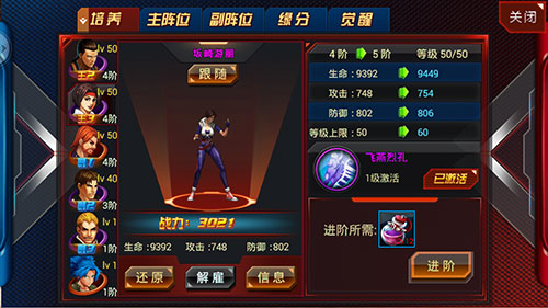 图4 《功夫格斗》特色帮护