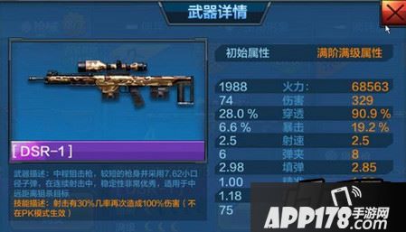 DSR-1