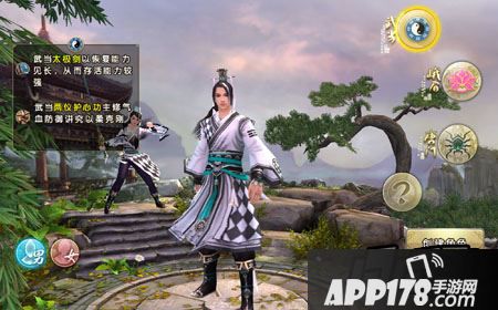 九阴真经手游武当套路用什么好