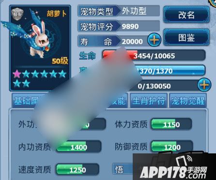 神雕侠侣手游新灵宠胡萝卜技能1-20级数据详解