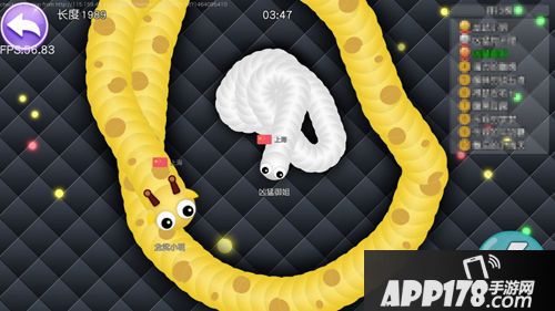 蛇蛇大作战蛇蛇吃什么