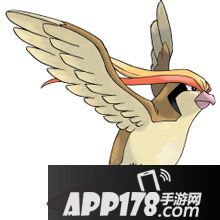 精灵宝可梦go比雕属性图鉴