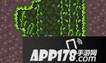 泰拉瑞亚生命果