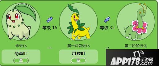 口袋妖怪go月桂叶坐标位置分享