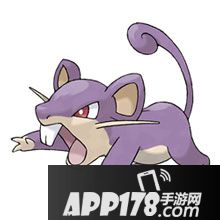 精灵宝可梦go小拉达属性图鉴