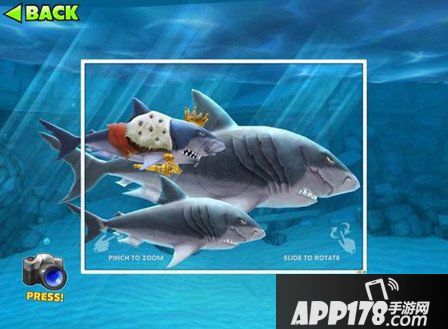 饥饿的鲨鱼进化鲨鱼宝宝王详解