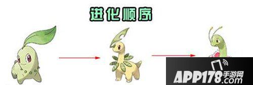 口袋妖怪重制大菊花属性图鉴