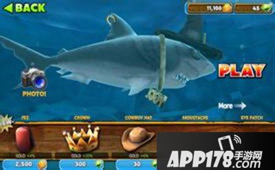 饥饿的鲨鱼进化宽咽鱼详解