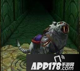 神庙逃亡2宠物回收详解