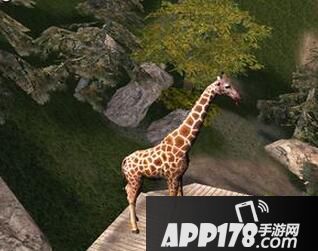 模拟山羊高山羊详解