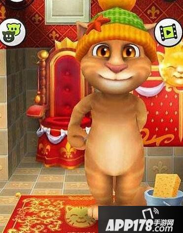 会说话的金杰装扮