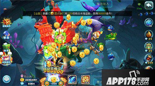 猎鱼达人水族箱