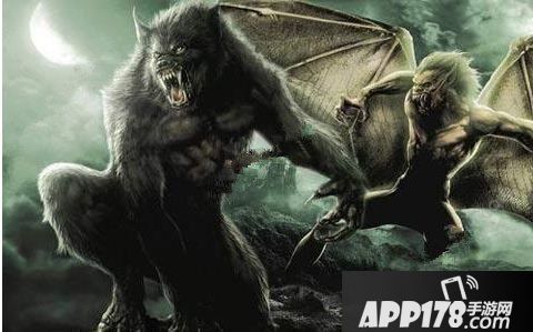 天天狼人杀焦点牌是什么