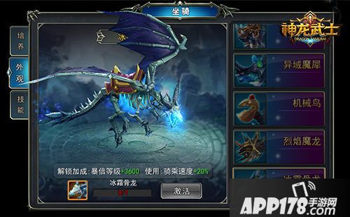 神龙武士资料片 