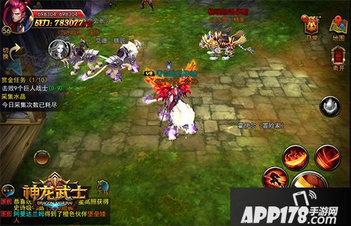 神龙武士资料片 