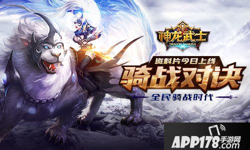 神龙武士资料片 