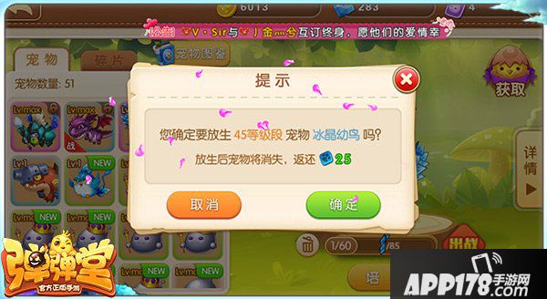 弹弹堂手游稀有品质宠物培养方法详解 稀有宠物培养心得