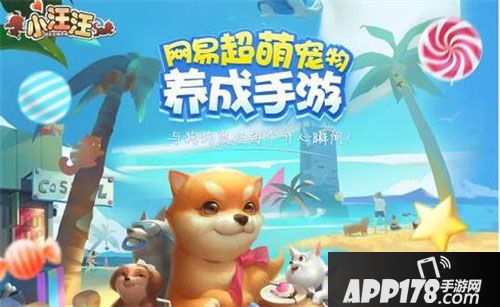 小汪汪萌化我心