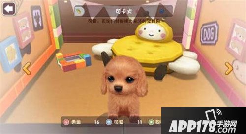 小汪汪萌化我心