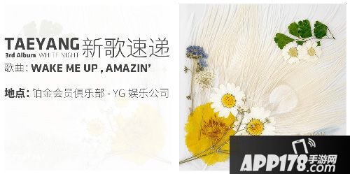 节奏大爆炸下载 