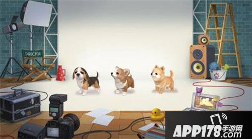 小汪汪萌化我心