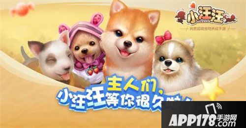 小汪汪狗狗游乐园