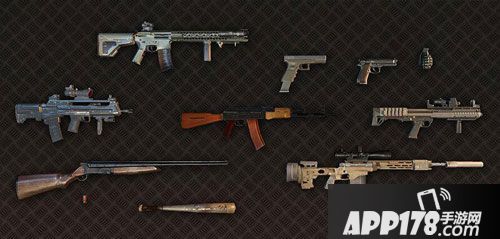 丛林法则手游枪 