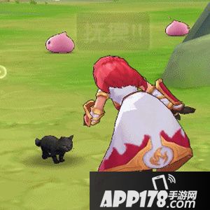 仙境传说ro活动