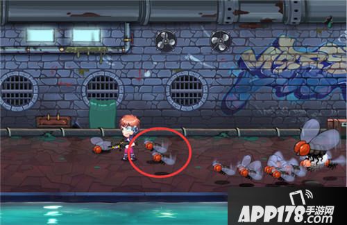 狸猫突击队苍蝇怪