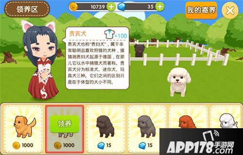 元气萌犬屋狗狗 