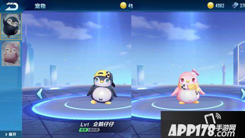 QQ飞车手游4月26日宠物系统正式开启 仔仔囡囡与你共度盛夏