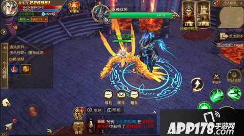 天使纪元不死火鸟