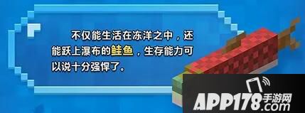 我的世界海洋之约 海洋更新盛夏清凉上线