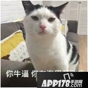 我的恐龙飞机门gps作弊