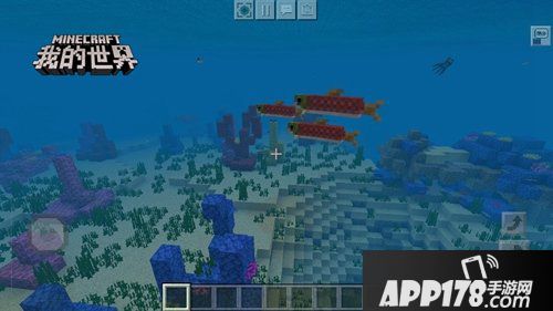 海洋更新即将来袭 与我的世界海洋生物共同嬉戏