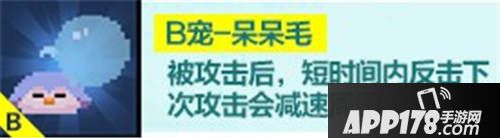 野蛮人大作战暑期版本