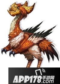 猫狩纪巨嘴鸟图鉴 巨嘴鸟素材一览