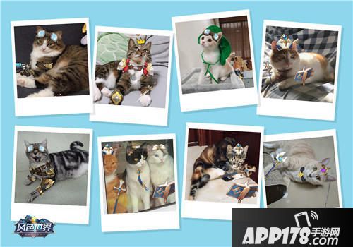 风色世界萌宠海选