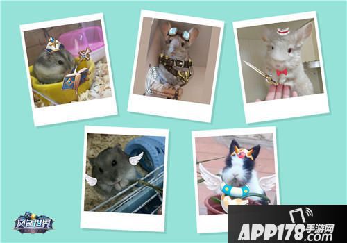 风色世界萌宠海选