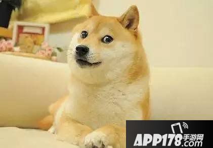 螺旋圆舞曲花主题活动开启