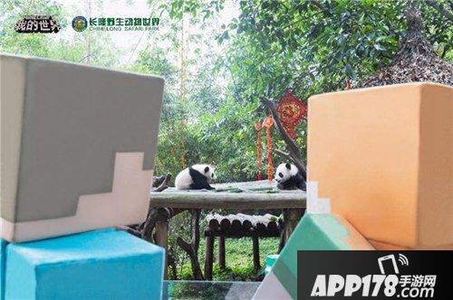 我的世界联动长隆野生动物园