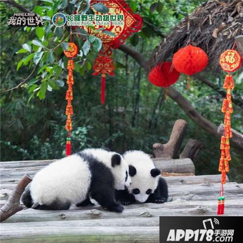 我的世界联动长隆野生动物园